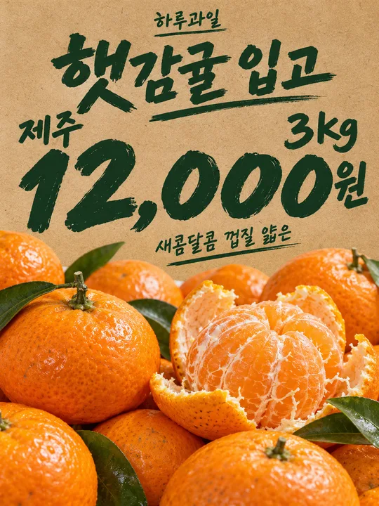 햇감귤 입고 포스터