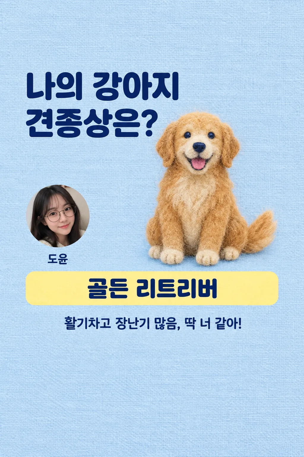 나의 강아지 견종상은? 샘플