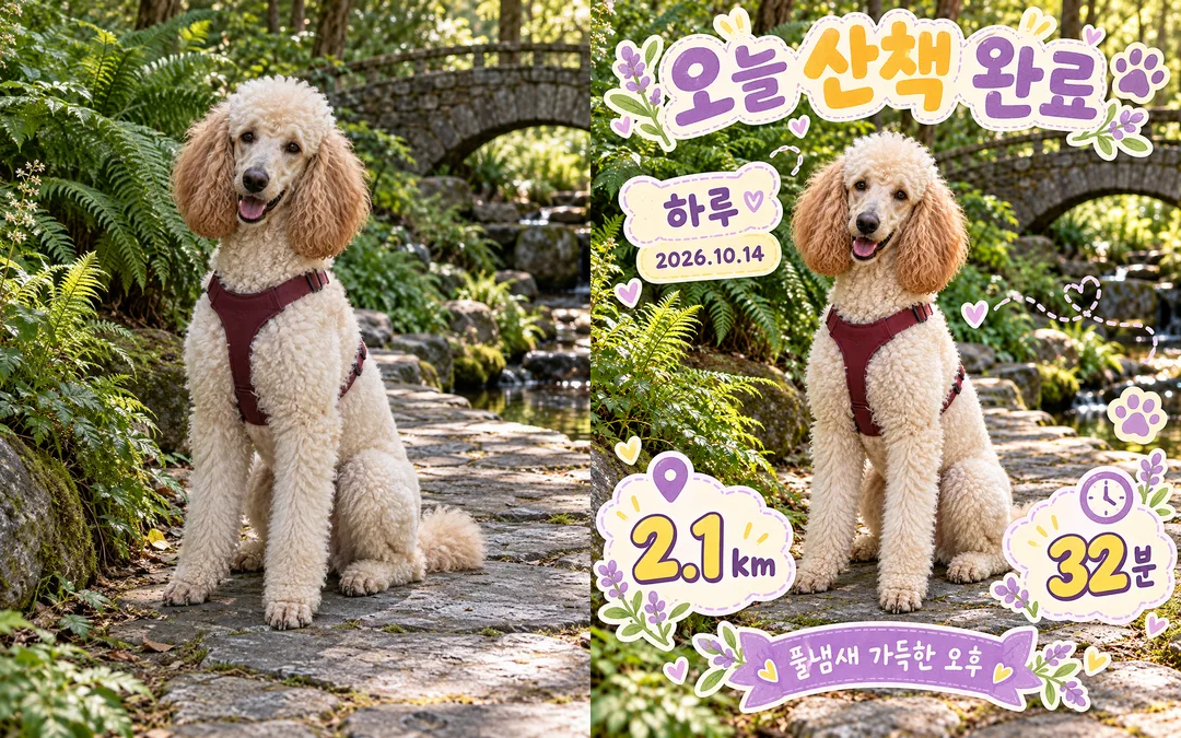 반려동물 산책 인증 카드 — 오늘의 한 걸음을 기록해요 — 예시 2