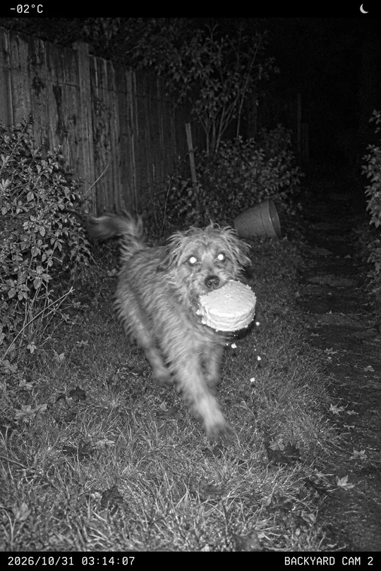 トレイルカメラに写ったうちの犯人 — 夜間赤外線の無人カメラ風ミーム写真